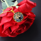 Sternzeichenkette- ZWILLINGE spiritueller Schmuck, personalisierte Geschenke, Halskette aus Edelstahl oder 18K Vergoldung in Geschenkbox